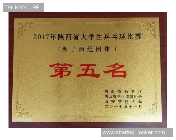 杭州乒乓球队耐力对比深度解析与训练策略探讨