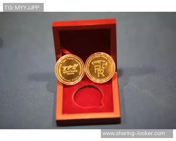 南京羽毛球队总决赛逆袭之旅背后的奋斗与荣耀揭秘