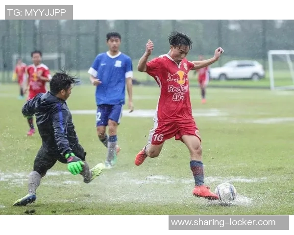 杭州足球队的拼搏之路:一段不屈不挠的奋斗历程纪实 杭州足球队的拼搏之路:一段不屈不挠的奋斗历程纪实