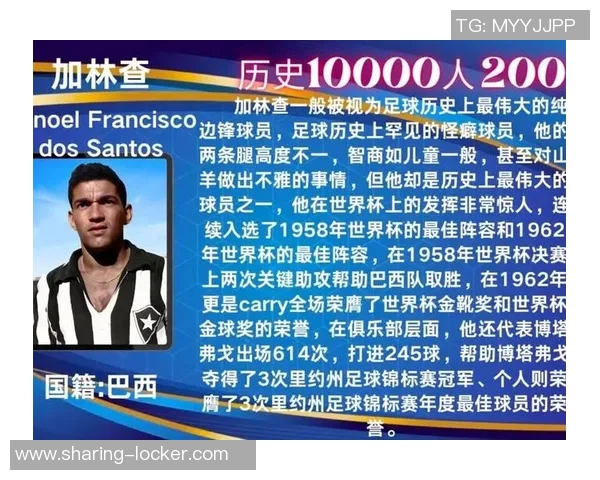 超越标签的足球巨星探索不被定义的运动传奇之路 超越标签的足球巨星探索不被定义的运动传奇之路