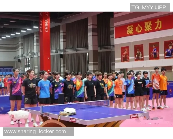 杭州乒乓球队耐力训练的深度分析与提升策略探讨