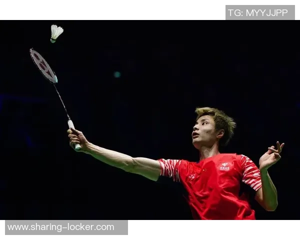 杭州羽毛球队总决赛表现分析意识与战术的完美结合