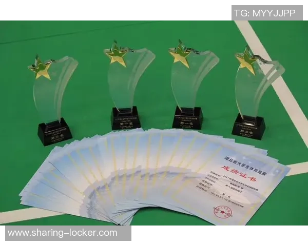 武汉羽毛球队与成都羽毛球队赛后技术分析与战术总结